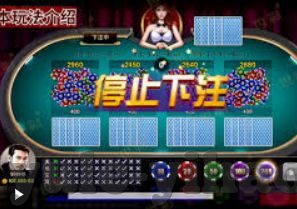 世界杯投注系统源代码-世界杯投注系统源代码，构建高效、安全的在线投注平台