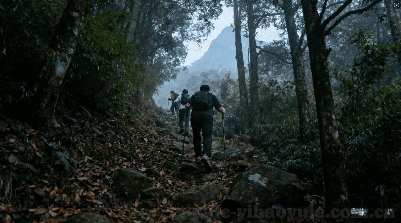永盛电玩城森林舞会-永盛电玩城森林舞会，一场梦幻与现实交织的娱乐盛宴